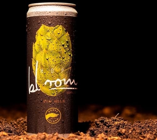 Hop Bloom