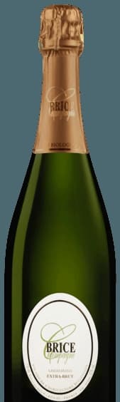 Extra Brut