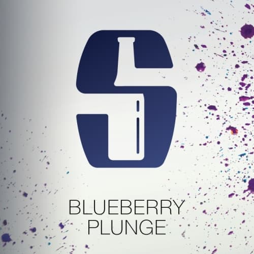 Blueberry Plunge
