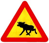 Swedish Elk Brew