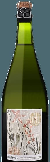 Blanc de Blancs Brut Nature Champagne
