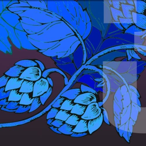 Hop Squeezer 3