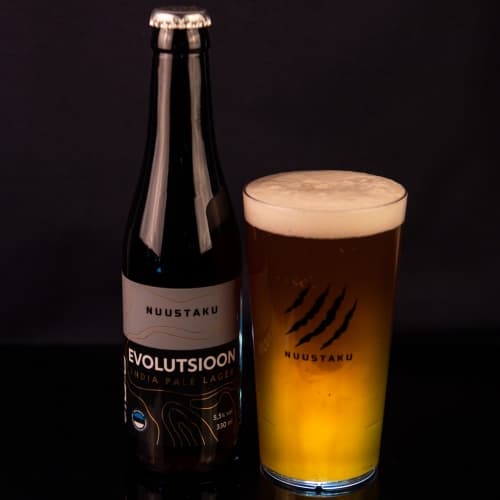 Evolutsioon