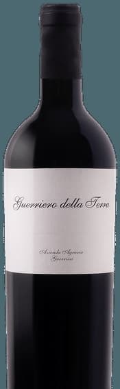 Guerriero della Terra