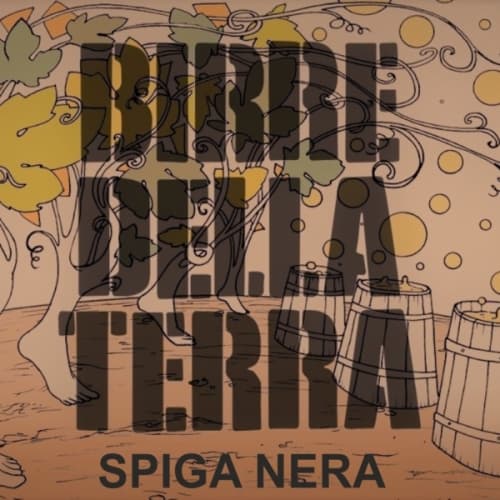 Birre della Terra - Spiga Nera
