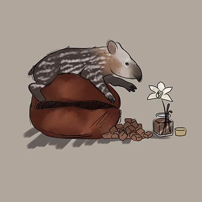 Tapir