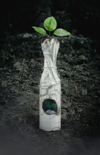 Scorched Earth
