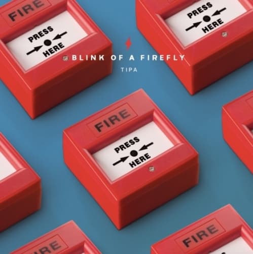 BLINK OF A FIREFLY