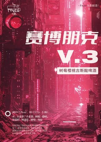 Cyber Punk V.3 (赛博朋克V.3)