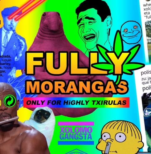 Fully Morangas