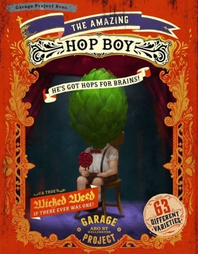 The Amazing Hop Boy