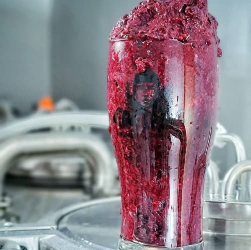 Triple Berry Vanilla Milkshake Dry Hopped Sour Ale