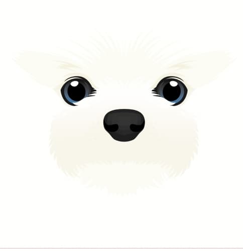 Floofster