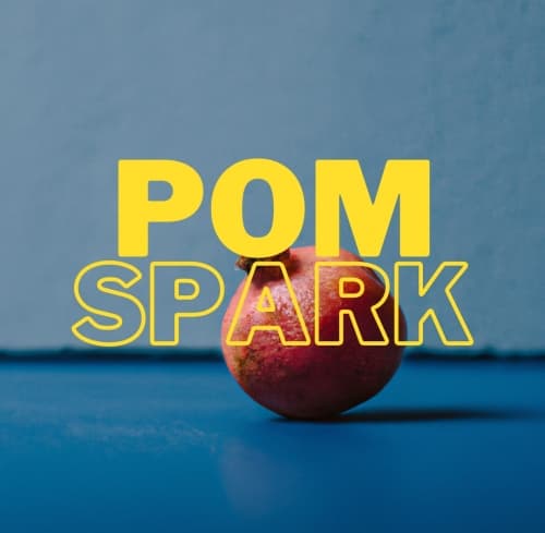 Pomegranate Spark Seltzer