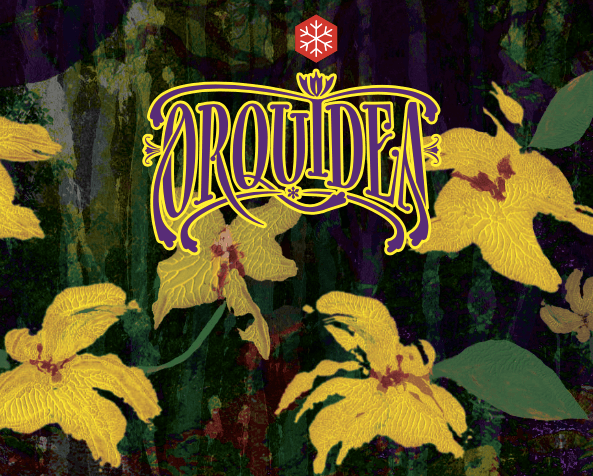Orquídea