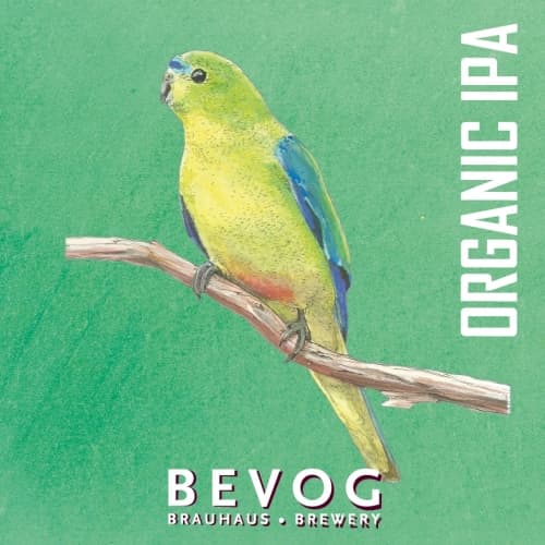 Extinction Is Forever!: Orange-Bellied Parrot