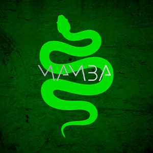 Mamba
