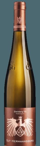 Steinberg GG