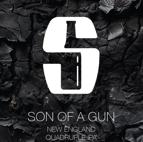 Son of a Gun