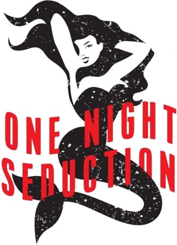 One Night Seduction