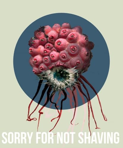 Sorry For Not Shaving // Farmhouse Ale Red Wine Barrel Aged