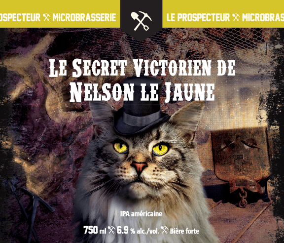 Le Secret Victorien De Nelson Le Jaune