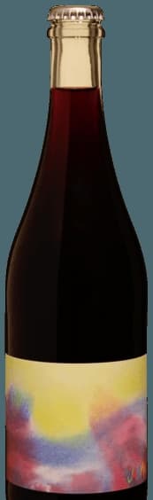 Disco Special Shiraz - Grenache
