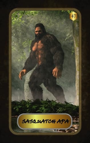 SASQUATCH APA