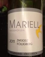 Zweigelt Fölligberg