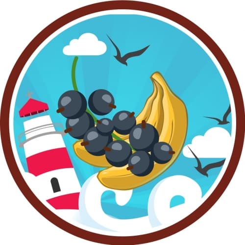 Art of Tart: Banana, Black Currant, Vanilla