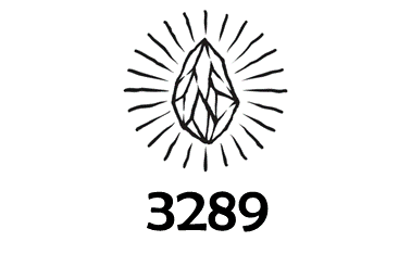 3289