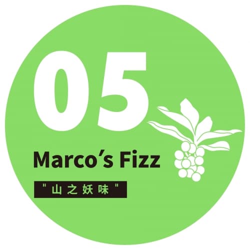 Experimental Series: Marco's Fizz