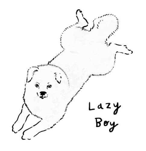 Lazy Boy