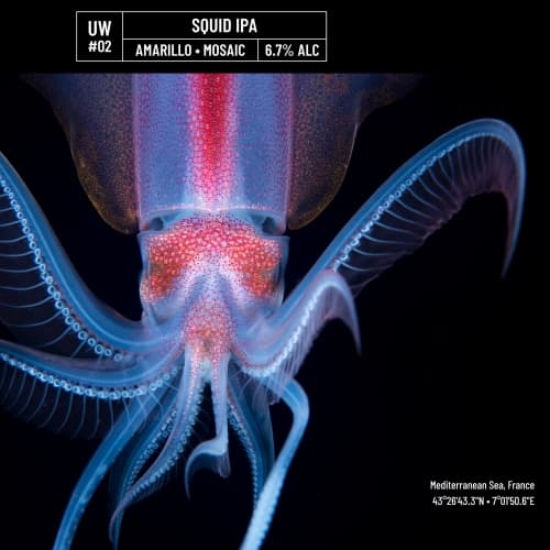 UW#02 - Squid IPA