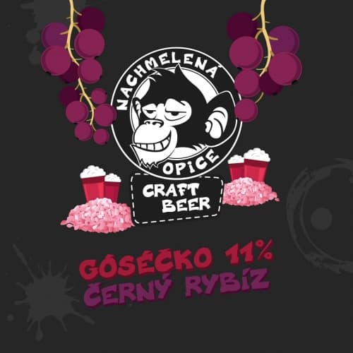 Goséčko Černý Rybíz 11%